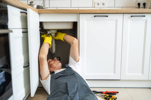 Best Toilet Repair Services  in Warrensville Heights, OH